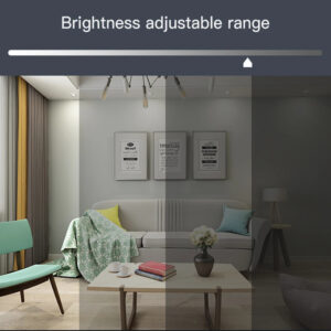 Moes Wifi LED Downlight info 1