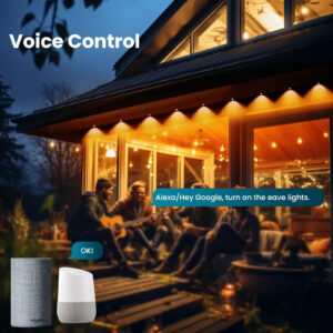 Moes Wifi Smart Eaves RGB String LED Voor Buiten Ip67 info