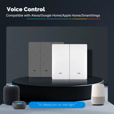 Moes Smart Licht Schakelaar Wifi met Matter spraak control