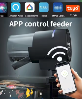 Slimme Automatische Vis voerder Wi-Fi 2e Generatie Compatibility
