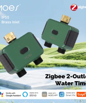MOES Zigbee Smart Watertimer 2-Uitgangen Tuin Irrigatie